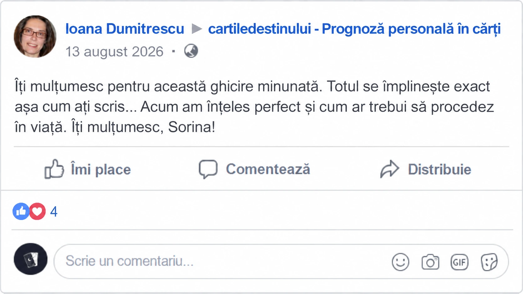 Mărturie tradusă — Ioana Dumitrescu