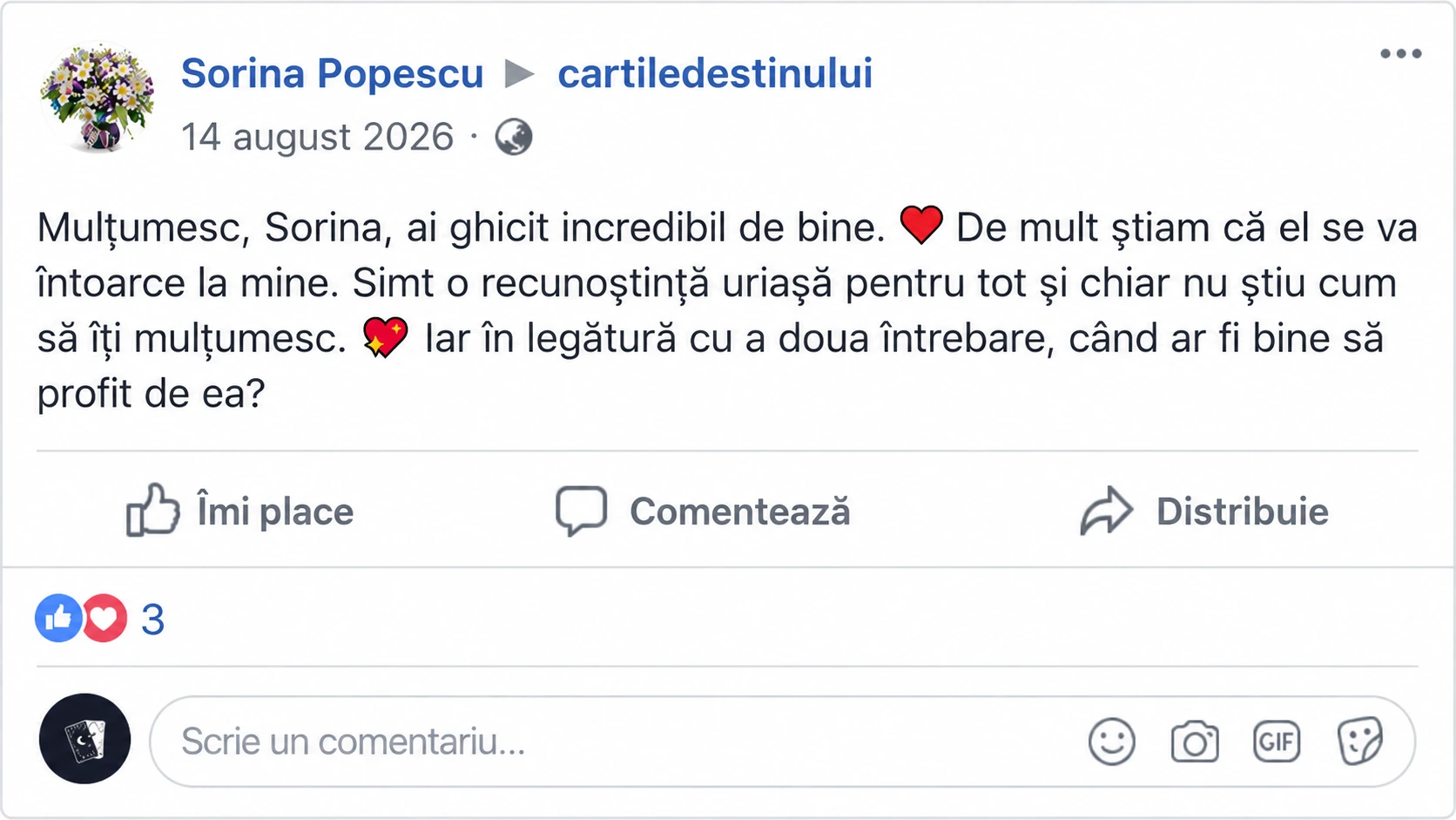 Mărturie tradusă — Sorina Popescu